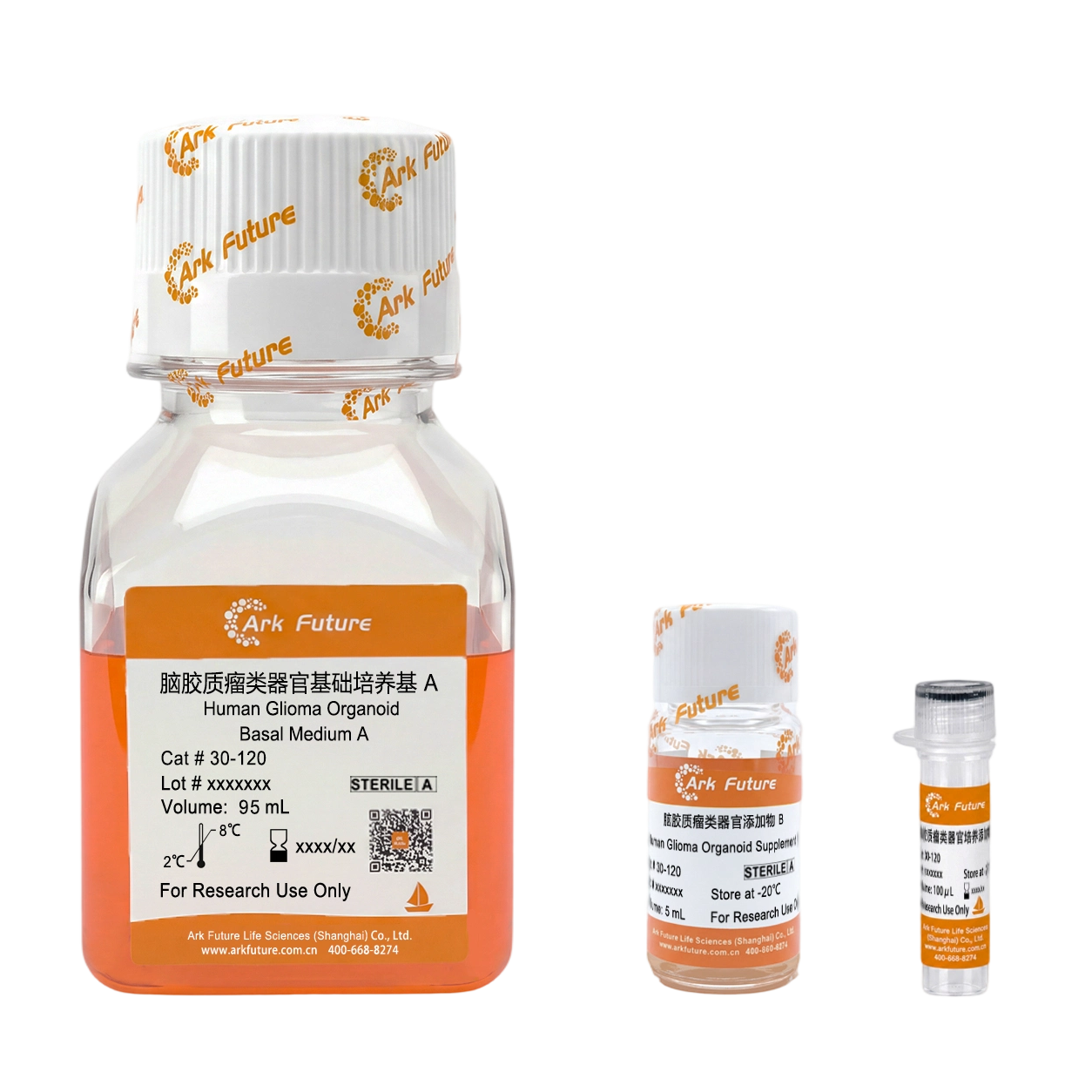 脑胶质瘤类器官完全培养基